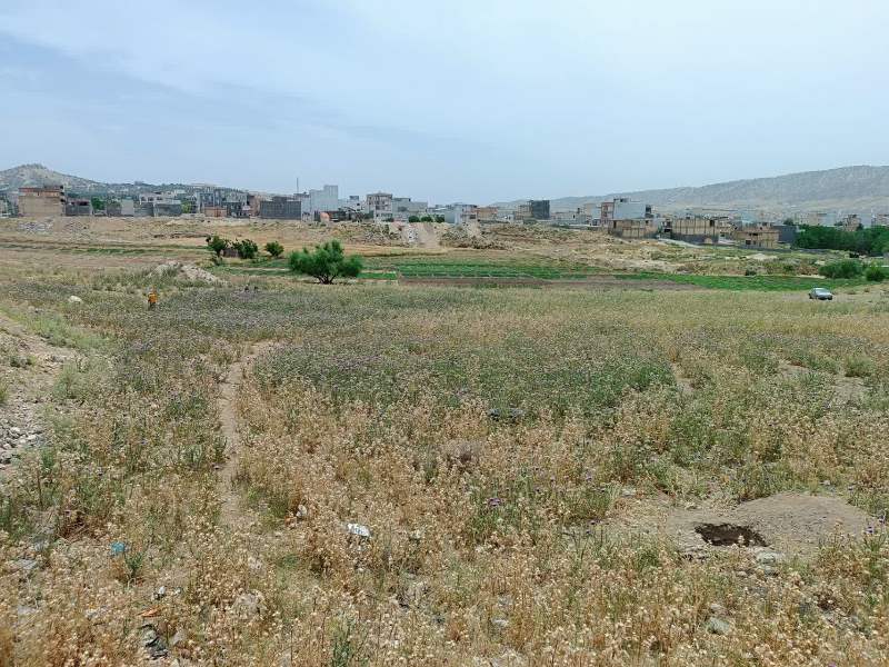 آغاز گمانه‌زنی در محوطه تاریخی باخه‌نام چالسرای ایلام